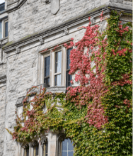 CUPE 3913 Head Office