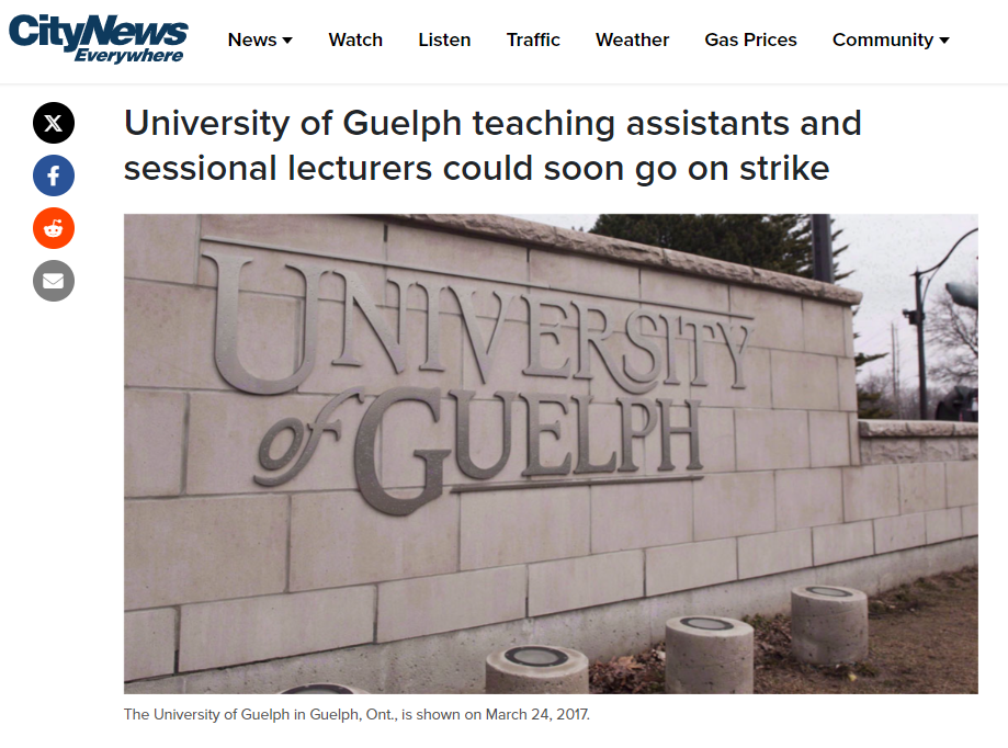 City TV News Article