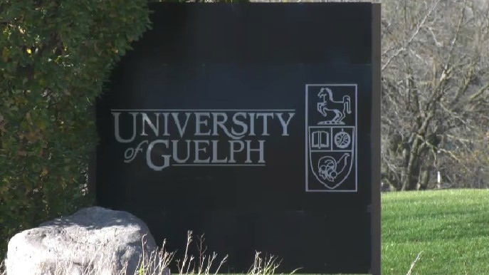 Kitchener CTV New regarding Strike Mandate Vote